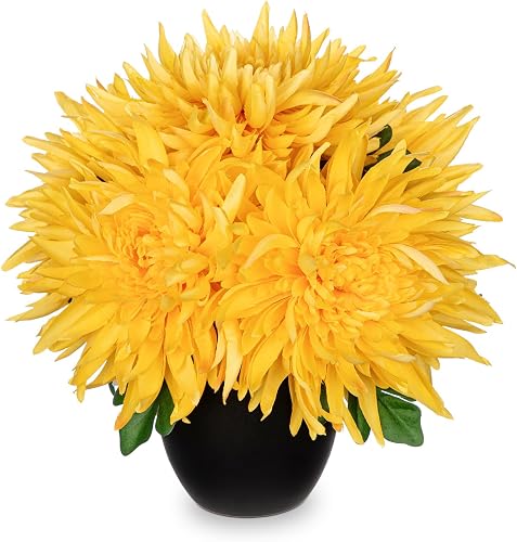 Hollyone Artificial Mums Flowers in Vase Faux Chrysanthemum Silk Flowers Potted Plant Fake Plants & Flowers with Pot Floral Arrangements Bouquets Pincushion Spider Mum Flower Home Decor Yellow