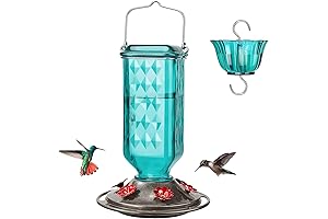 Teal Bird Feeder: Serene Sanctuary for Hummingbird Nesting