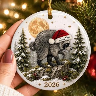 Lovable Viral Jimothy Raccoon Ceramic Ornament - Trending 2026 Keepsake