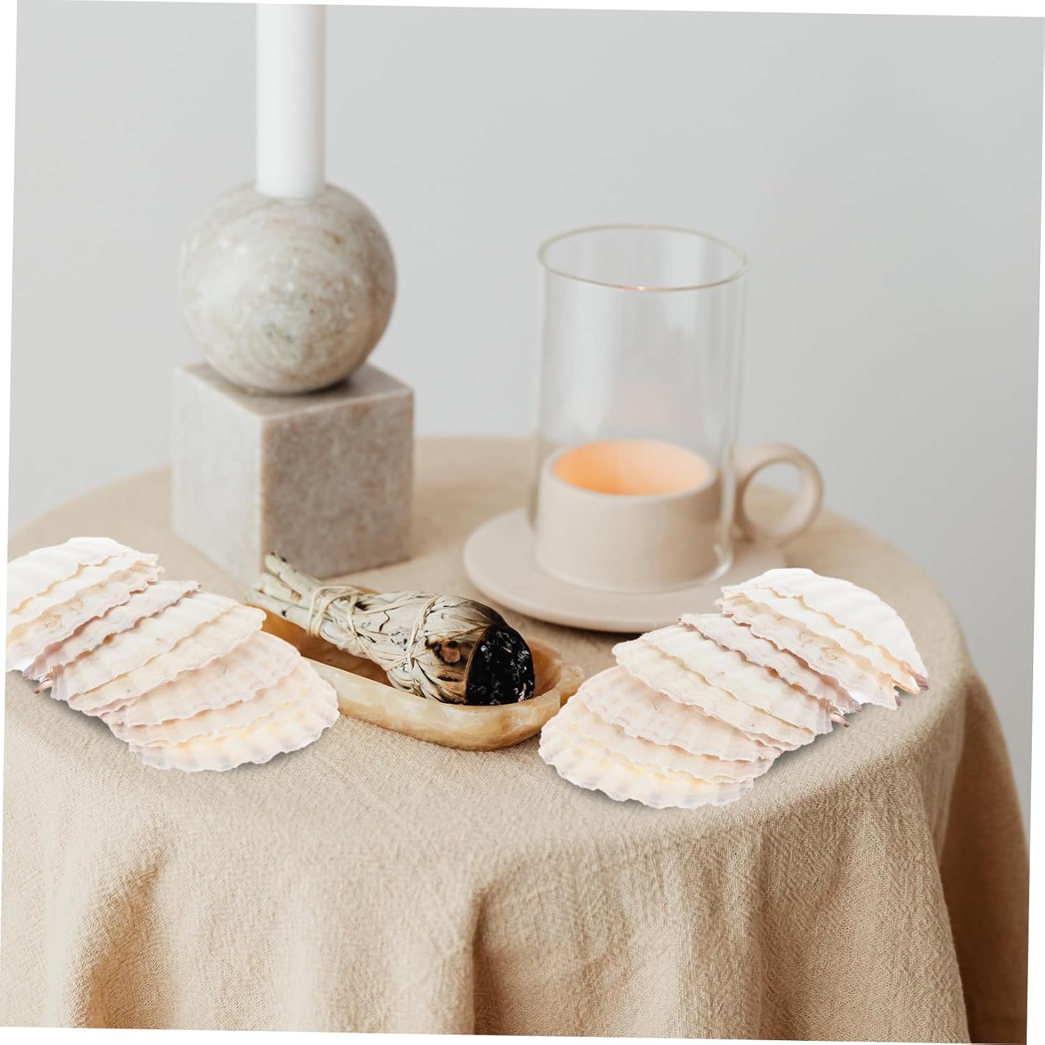 Gadpiparty 10Pcs Natural Plates for Food Serving DIY Painting Unique Shell Decorations for Home Decor for Storing Jewelry Finger Foods for Restaurants