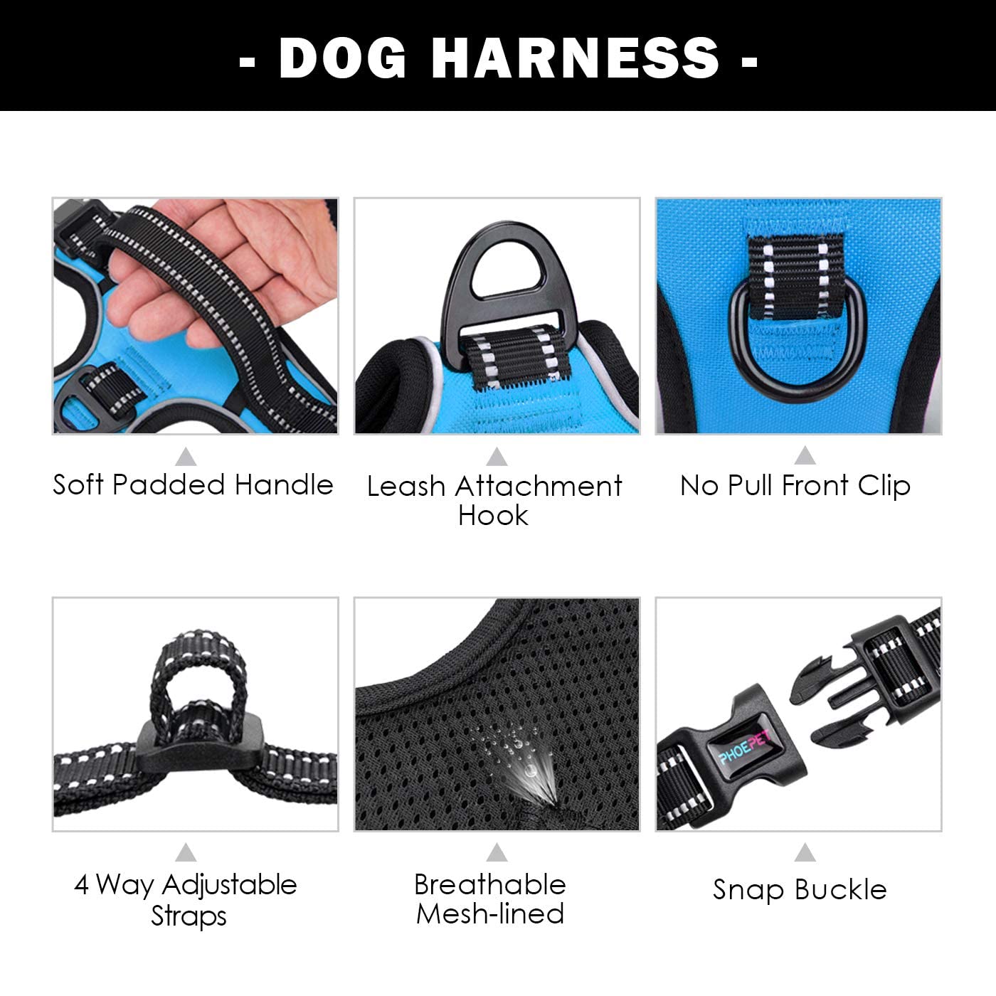 https://m.media-amazon.com/images/I/71TiF7hORoL.jpg