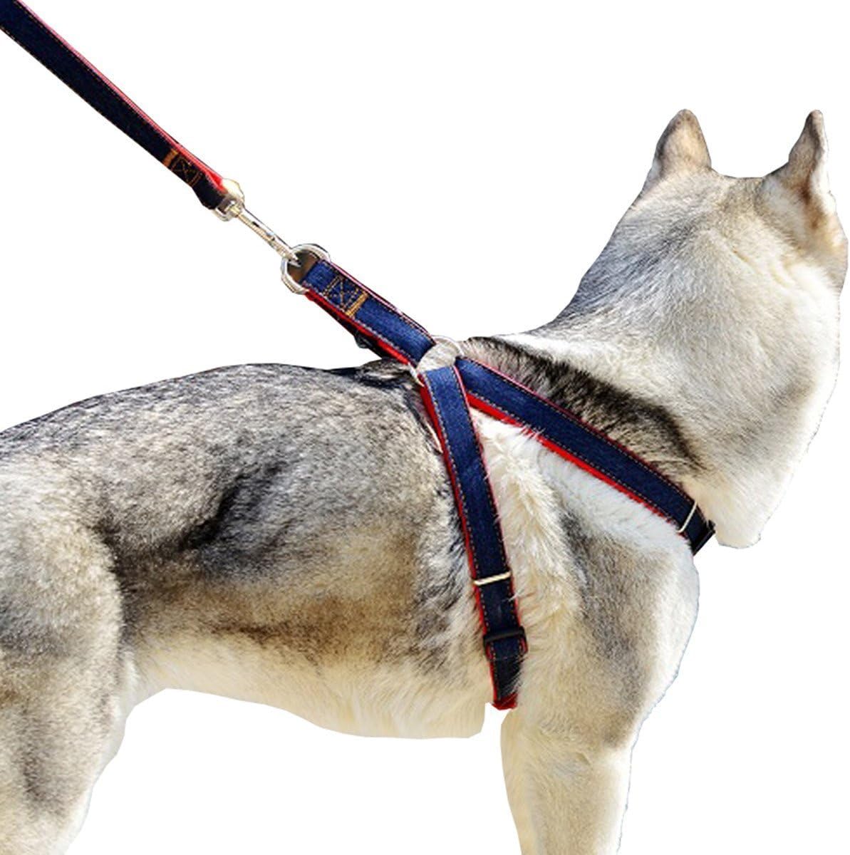 LMM No Pull Denim Dog Training Harness and Leash Set for Small/Medium/Large Dogs, Walking Leash Collar for Large Breed, 4-Feet Long, Supports up to 60 lbs (S - Chest 12-17.5" Weight up to 15lbs)