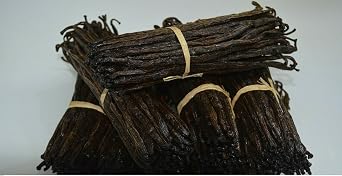 10x Madagascar Vanilla Pods Grade B DRY TO MAKE EXTRACT