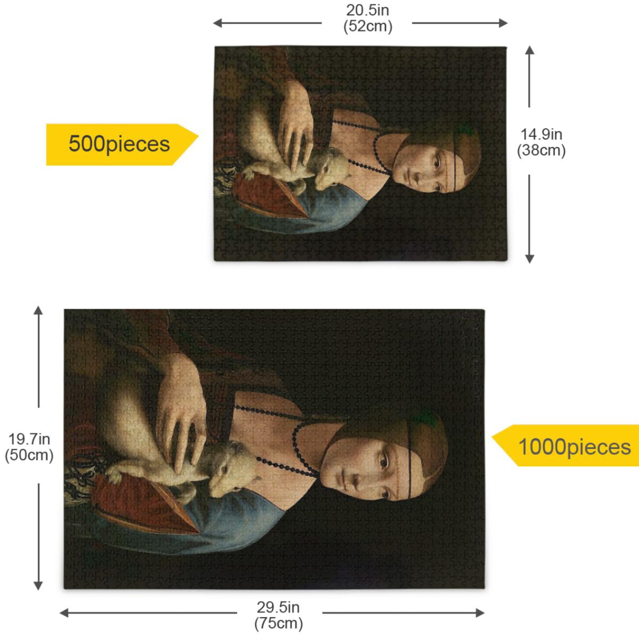Amazon.com: Leonardo da Vinci Lady with Ermine Adults Jigsaw 1000