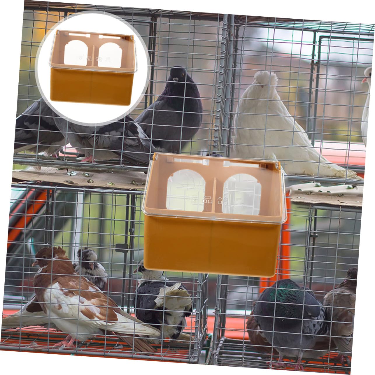 Lot De 3 Mangeoires Suspendues à Double Ouverture pour Oiseaux Et Perroquets, Plastique Solide, Couleur Marron, Multi-usages pour Cages à Oiseaux Et Perruches en Intérieur Ou Extérieur