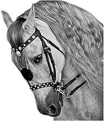 Freio De Cavalo Com Rédea - Freio De Cavalo Equestre - Freio De Cavalo Ajustável Gola De Cabeça Acessórios Equestre Cabresto De Cavalo Acessórios De Sela Freios Para Cavalos,Collector88