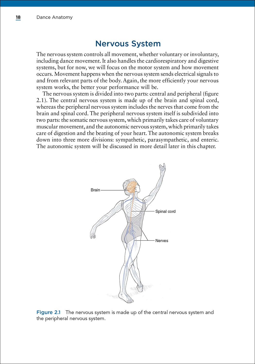 Dance Anatomy