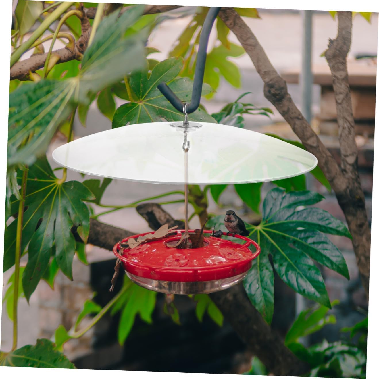 Squirrel Hanging Bird Feeder Rain Cover Transparent Dome for Outdoor Against Snow and Weather Elements Plastic and Metal Design for Backyard Bird Watching