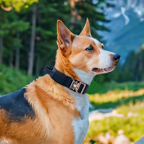 Miniatura 7 de EXCELLENT ELITE SPANKER Collar táctico para perro, collar militar ajustable para perro, resistente con hebilla de metal y mango de control (verde