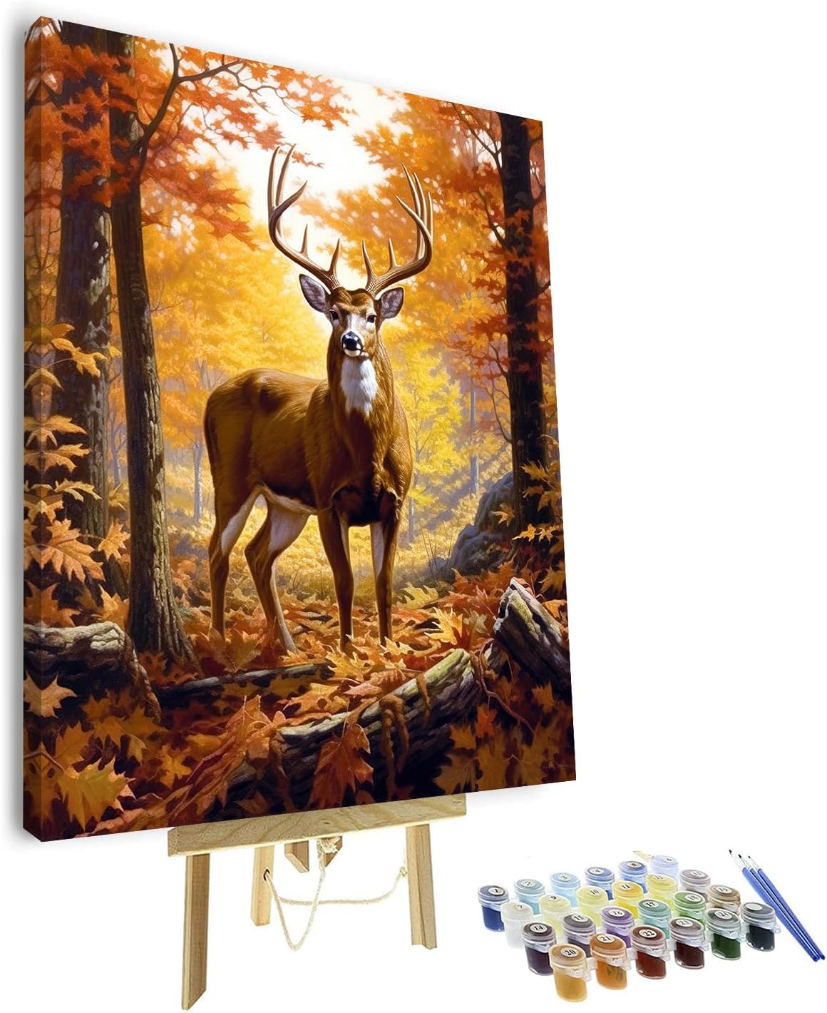 Paint by Number, Jesus Paint by Numbers, Adult Paint by Number Kits on Canvas Color by Number Painting by Numbers, DIY Jesus Tells Stories Oil Number Painting Canvas Arts with Framed, 16 x20 Inch