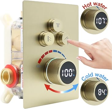 Digital Display Dual Head Shower system Rain Shower System Shower Wall Mount 10 Inch Ceiling Shower Head with 6 Inch Shower Head with shower handheld(Brushed Gold)