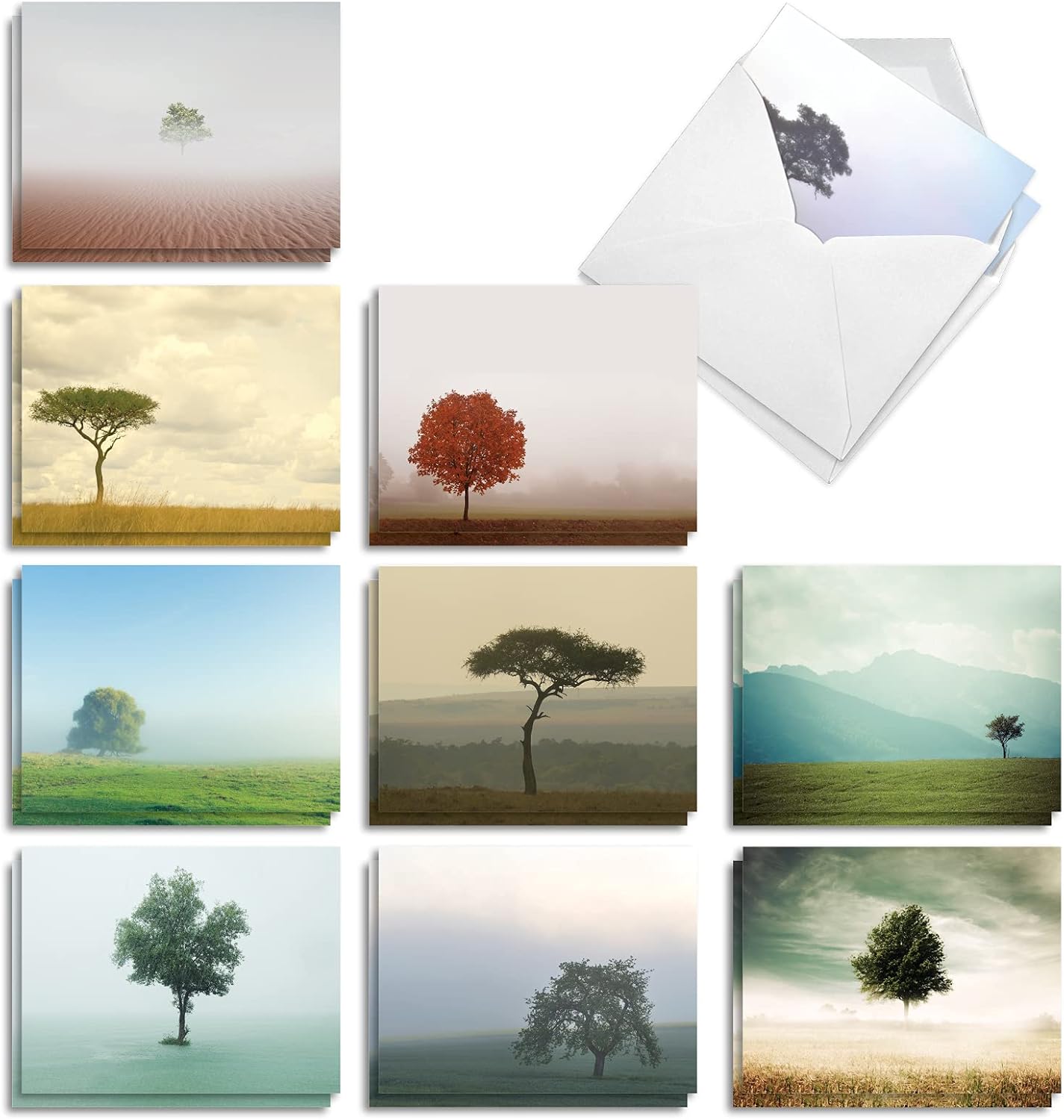 The Best Card Company 20 Landscape Nature Note Cards