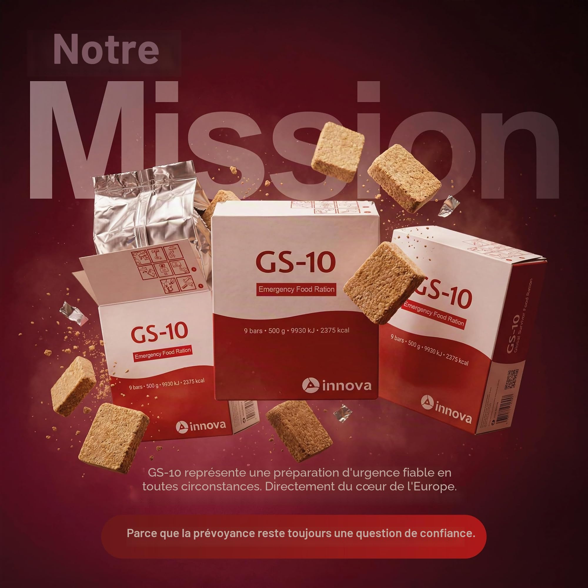 Produit spécial GS-10 Emergency Food 24 x 500 grammes de nourriture longue durée - durée de conservation extrêmement longue | ration de combat