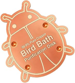 Bird Bath Copper Disk All-Season – Safe Animal Shaped Purification Clean