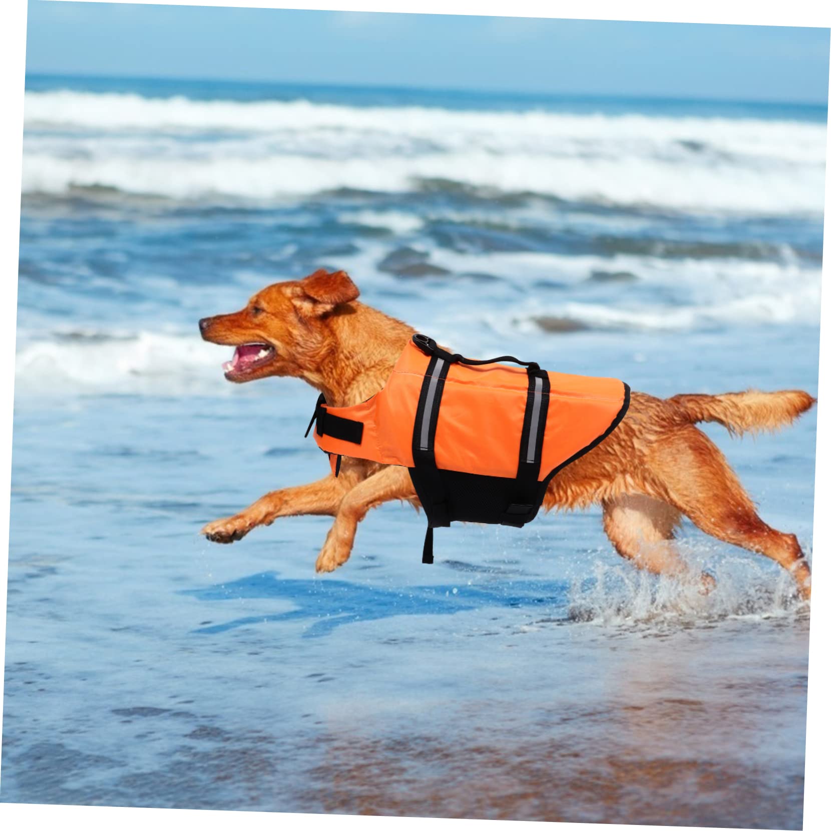 Garneck Dog Reflective Life Vest for Summer Swimming Boating Pool Fun Pet Swimsuit with Quick Release Buckles Back Handles for for Dogs