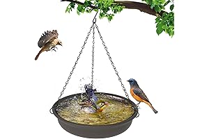 Hanging Bird Bath: Oasis for Your Feathered Friends