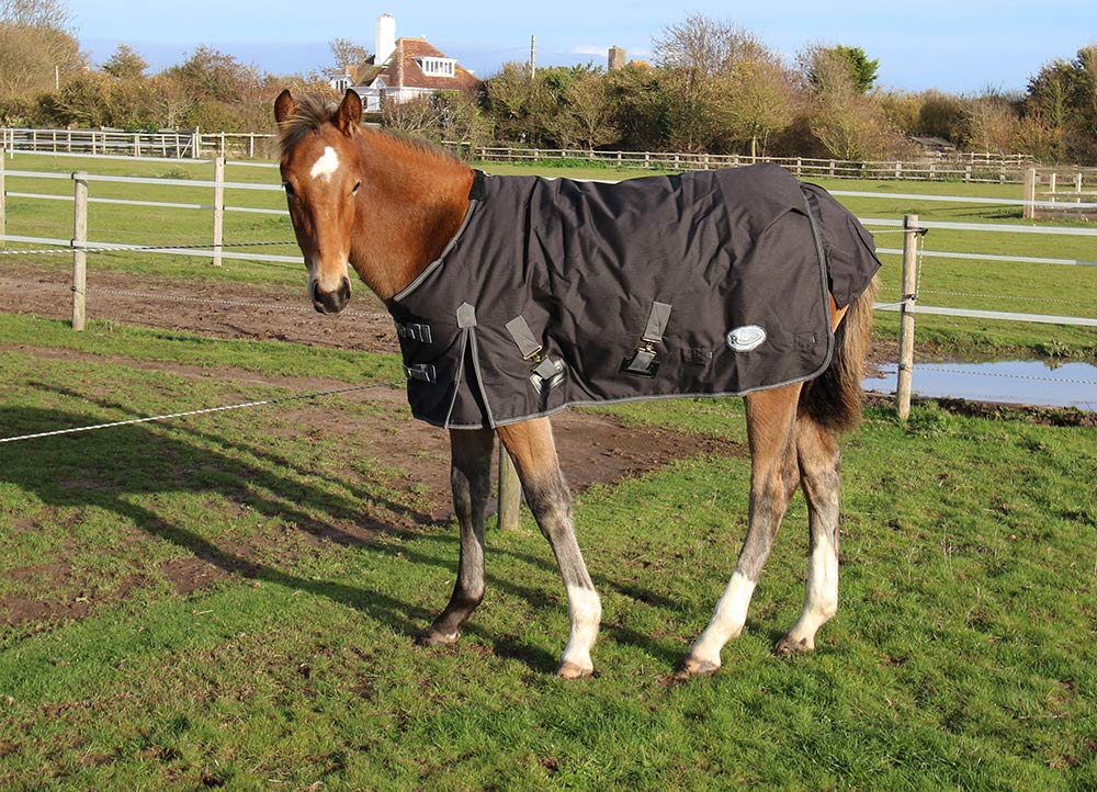 Rhinegold Konig 200g 600D Pony/Foal Outdoor Turnout Rug in Black 3.9, Black