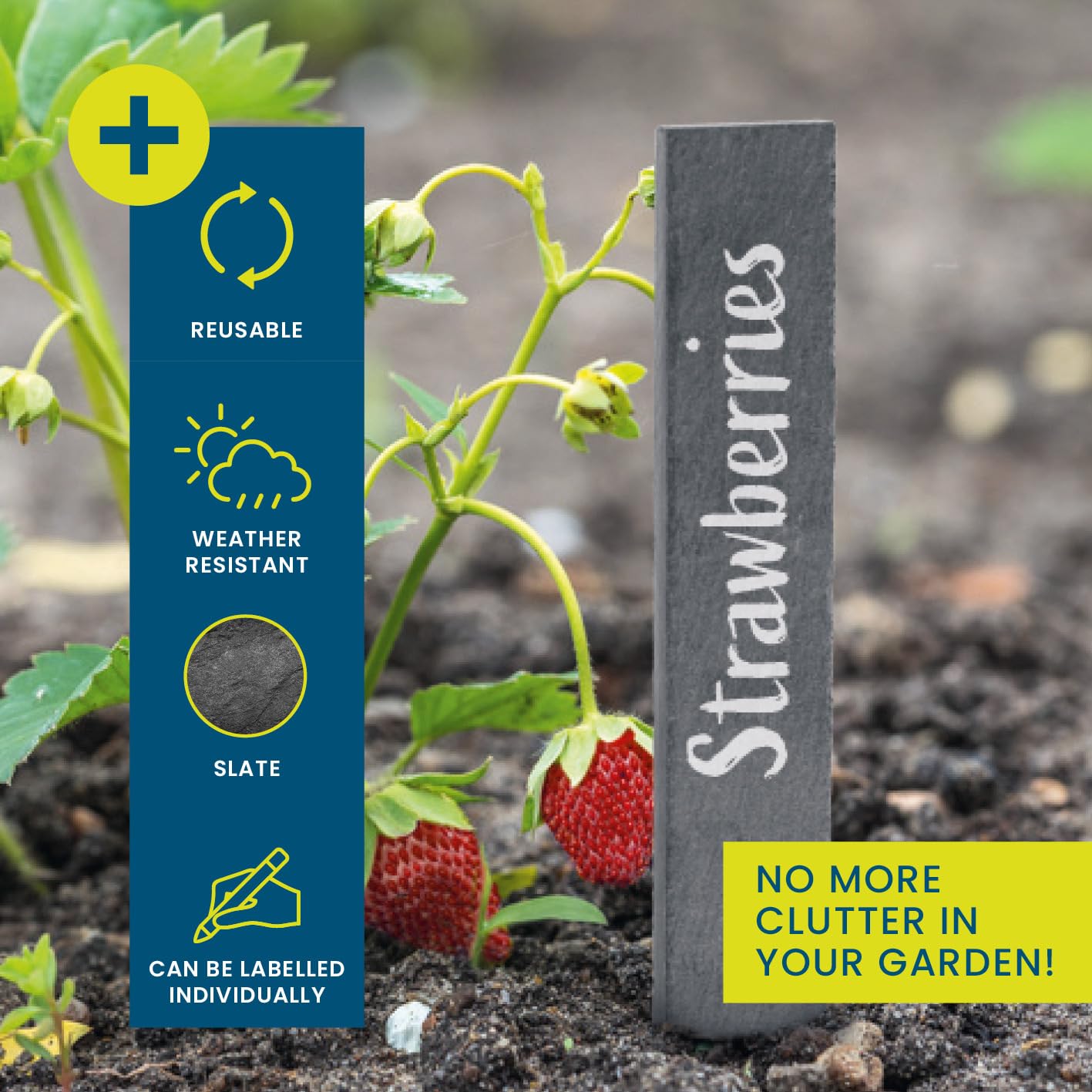 Hoberg Slate Plant Signs Set of 10 - Robust Slate Panels for Garden Herb Bed & Raised Bed, black, 15x2,5 cm - Image 2
