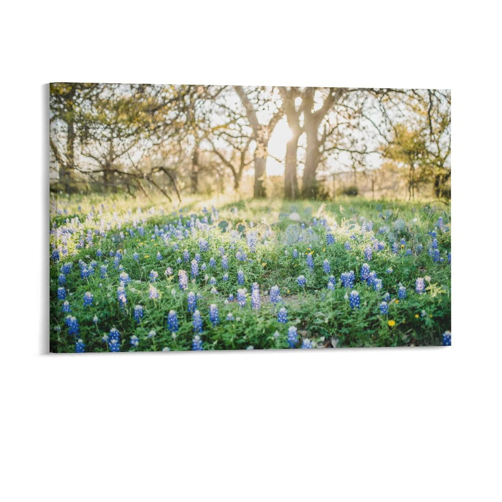 MIPOPS Willow City Loop Texas Hill Country Landscape Wall Art Decor Print Picture Paintings for Living Room Bedroom Decoration 12x18inch(30x45cm)