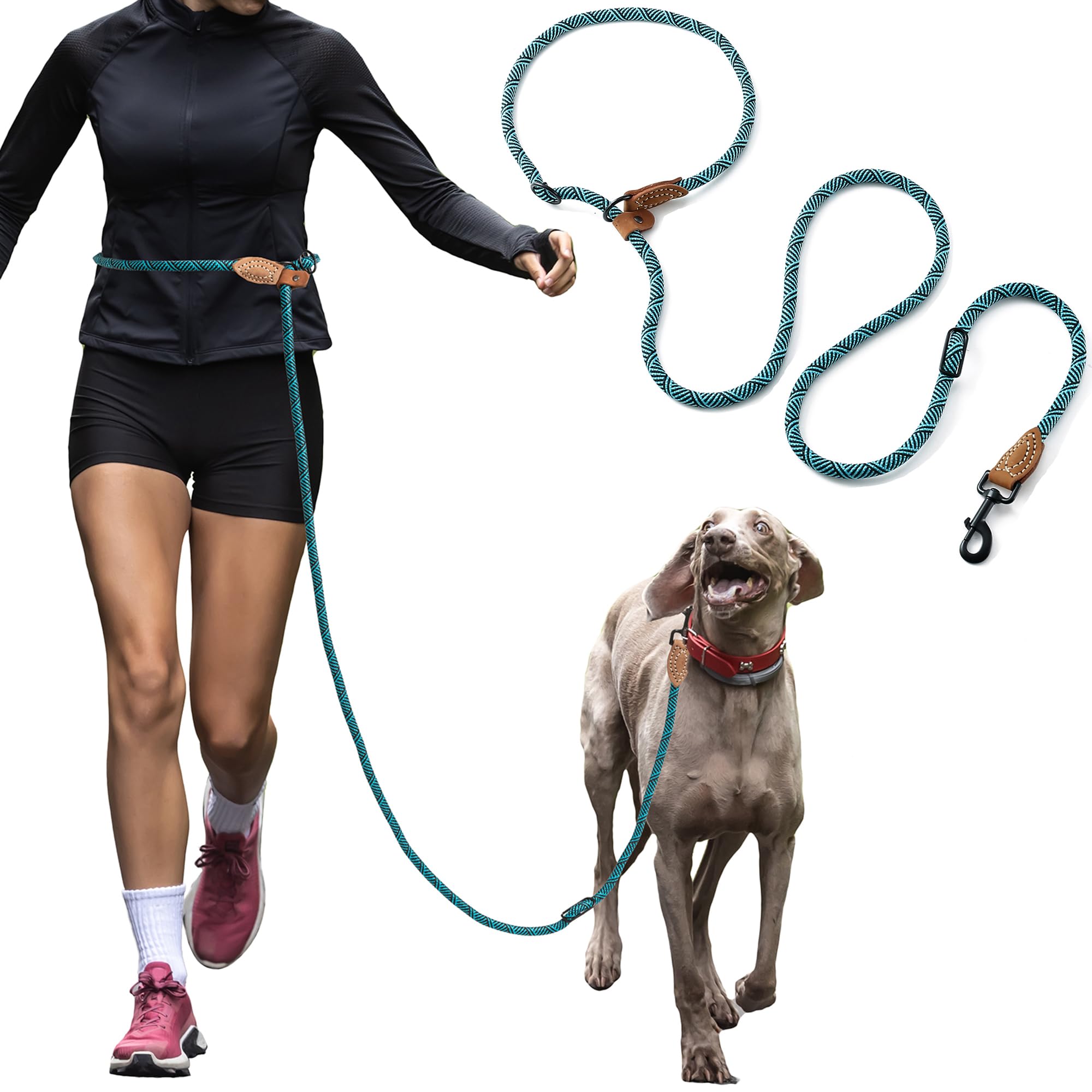 Mile High Life - Laisse en corde pour chien avec double configuration et fermoir robuste en métal - Multicolore, 2 longueurs au choix (1,80 m et 2,10 m), 8 FT Hand Free, Vert/turquoise