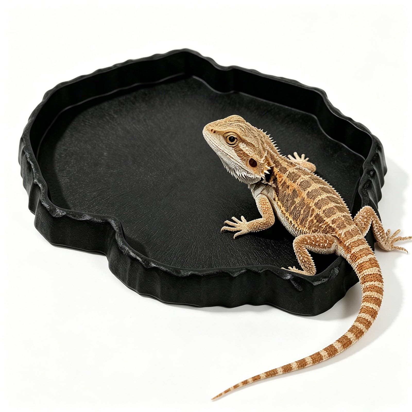 SHIQUAN Reptile Water Bowl, 18 x 14 x 2 cm Rock Feeding Plate