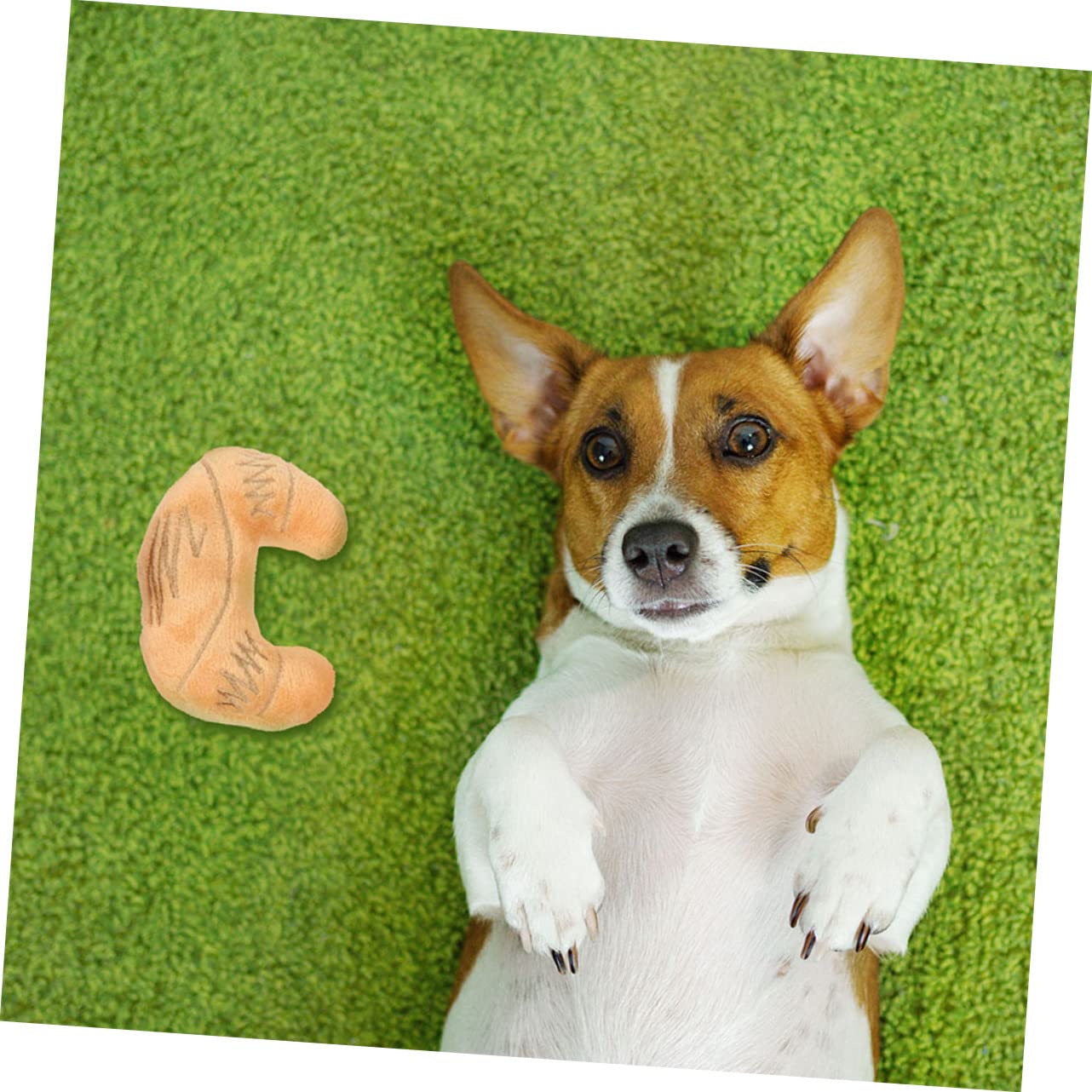 YARNOW 12pièces Jouets Peluche Squeak pour Chiens Et Jouets Molarisés Résistants pour Chiots De Hamburger Saucisse Jambon