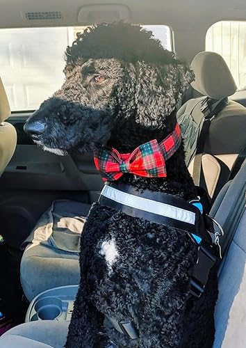 Miniatura 8 de Lionet Paws Collar navideño para perro y gato con corbatín, suave y cómodo, collar ajustable