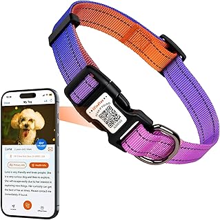 Custom Collars For Dogs Picks collage image 4