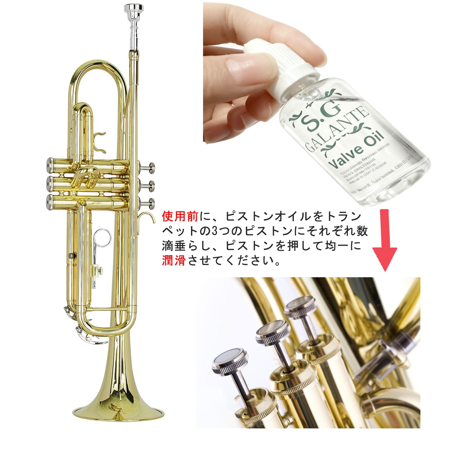 BQKOZFIN トランペット 初心者入門セット Bb調 管楽器 真鍮製 美品 トランペット 初心者入門セット Bb調 管楽器 真鍮製 金メッキ