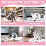 Ver la foto 5