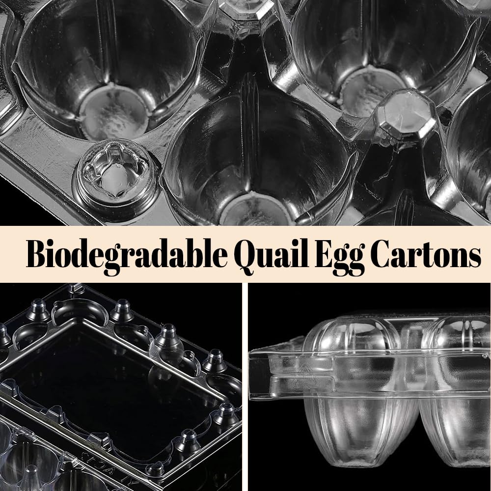 50 Pièces Boîte à Œufs de Caille,Conteneurs Pour œufs de Caille,Boîtes à œufs de Caille en Plastique,Modèle 12 œufs,Réutilisable, Gain de Place, Empilable et Transparent
