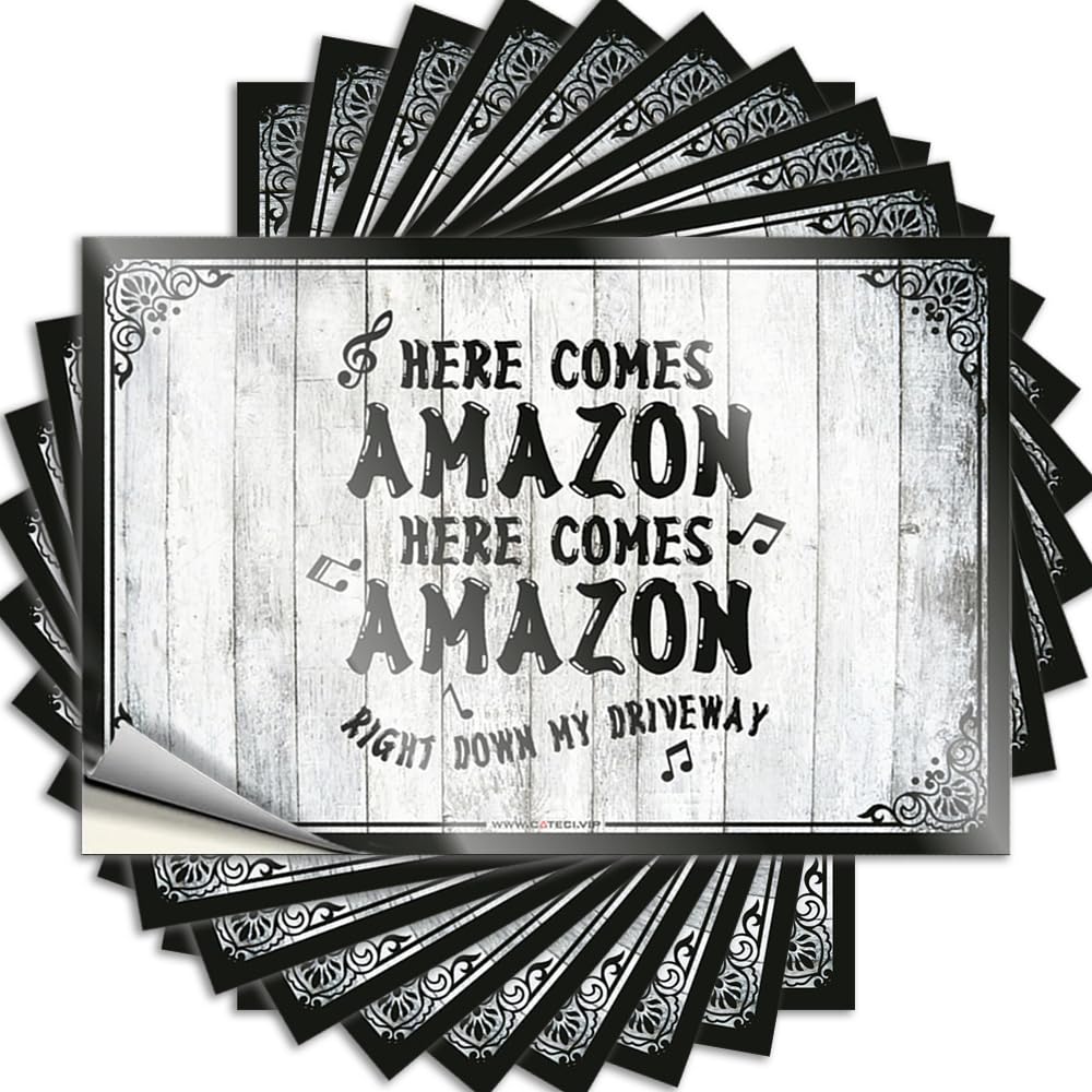 Space Wall Funny Sticker | Here Comes Amazon Right Down My Driveway Spring for Beer Decor(12X18CM)
