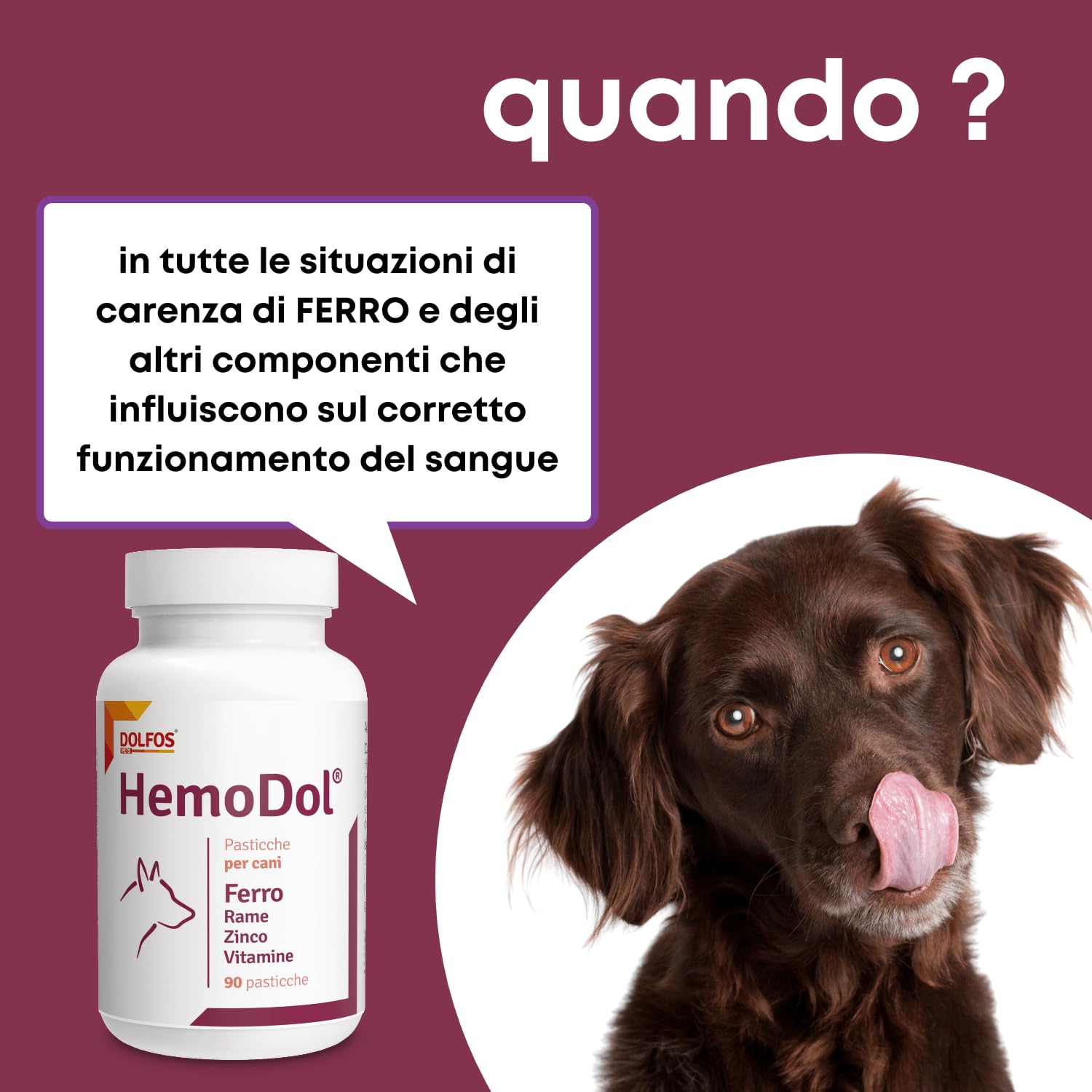 Dolfos - HemoDol Hunde Katzen Anemia Eisenmangel 90 Stück