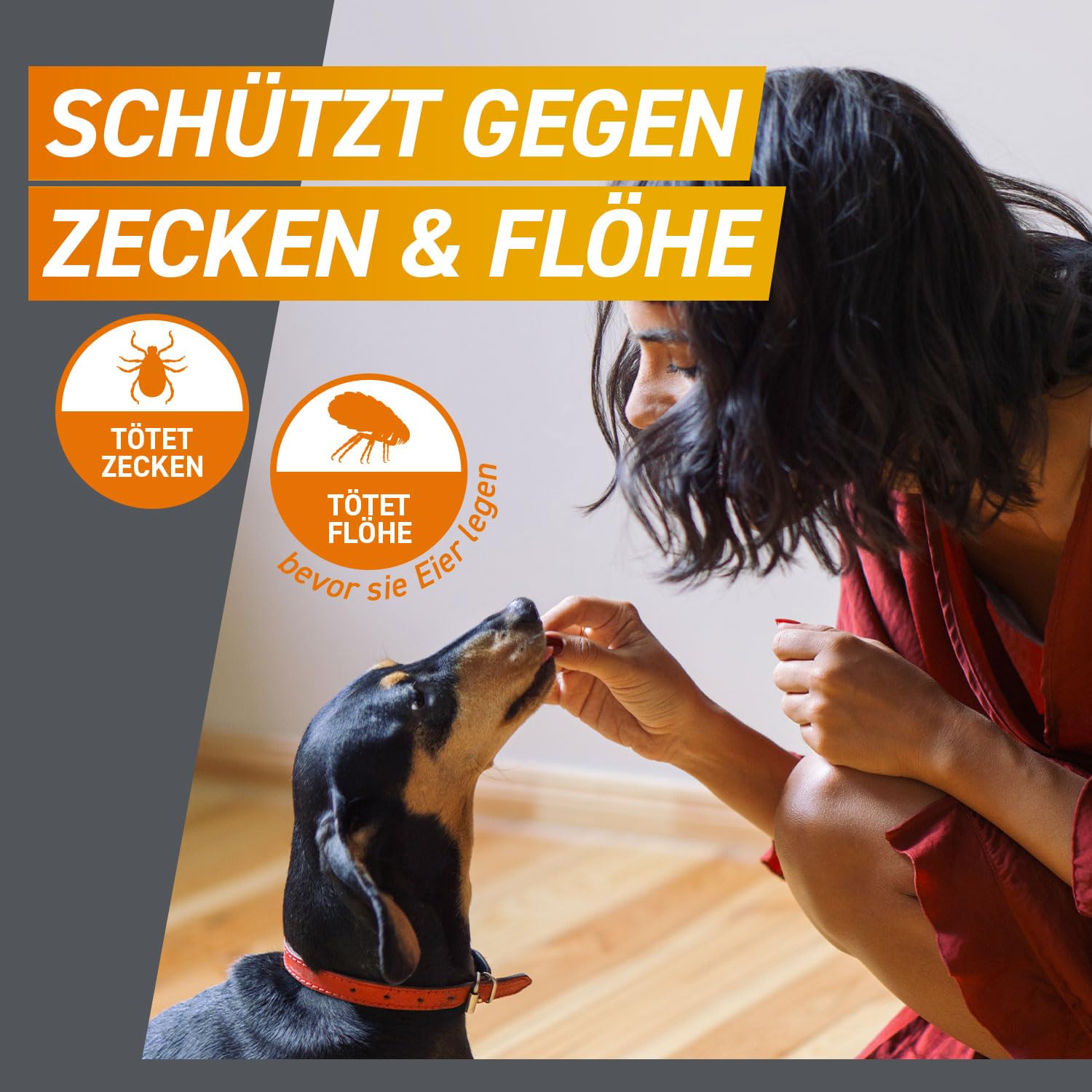 FRONTPRO Hund XL - Kautablette gegen Zecken & Flöhe (Hunde 25 bis 50 kg) | 3x Kautabletten (2er Pack) für 6 Monate Schutz - schmeckt einfach mit oder ohne Futter - für große Hunde