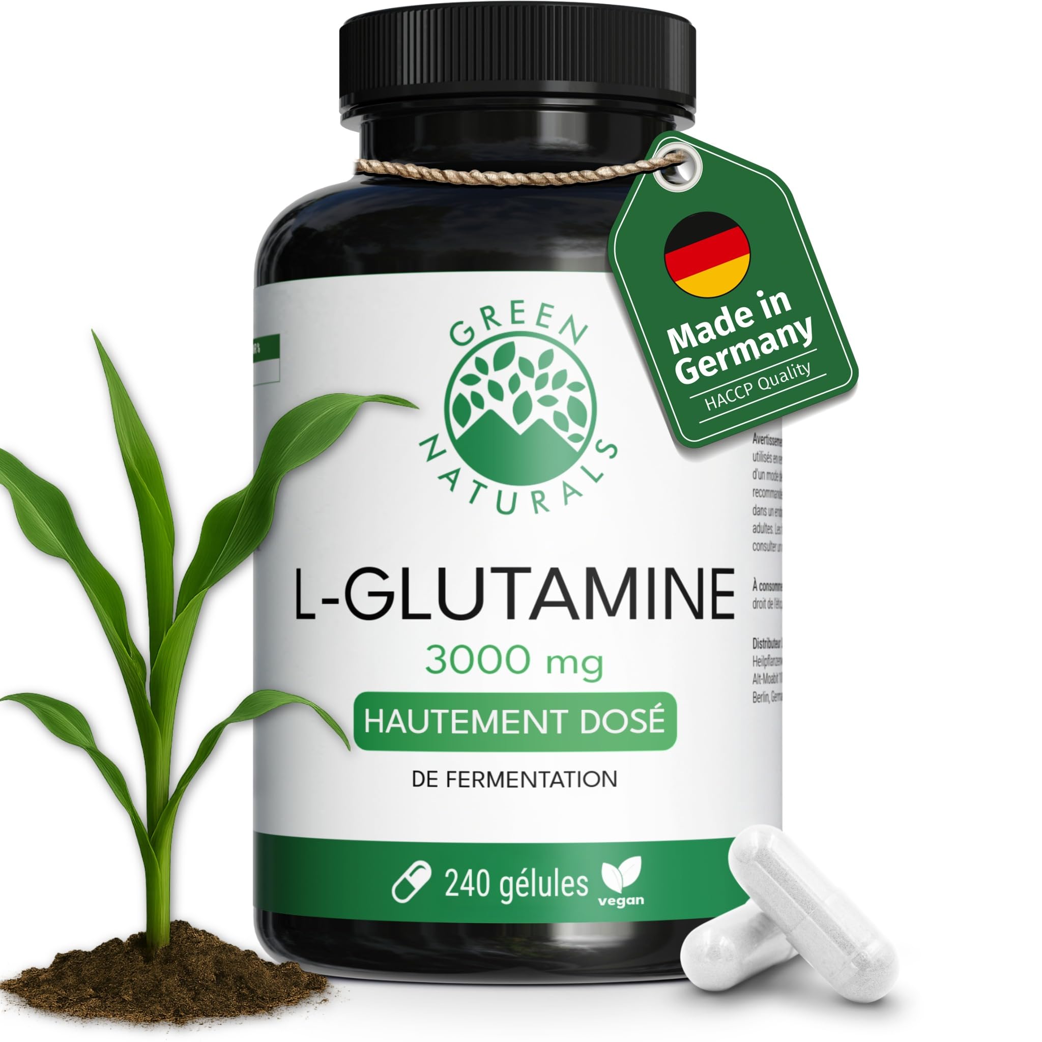 Green Naturals L-Glutamine 3 000 mg par jour – 240 gélules | Forme libre issue de fermentation · Vegan · Sans additifs · Cure de 2 mois