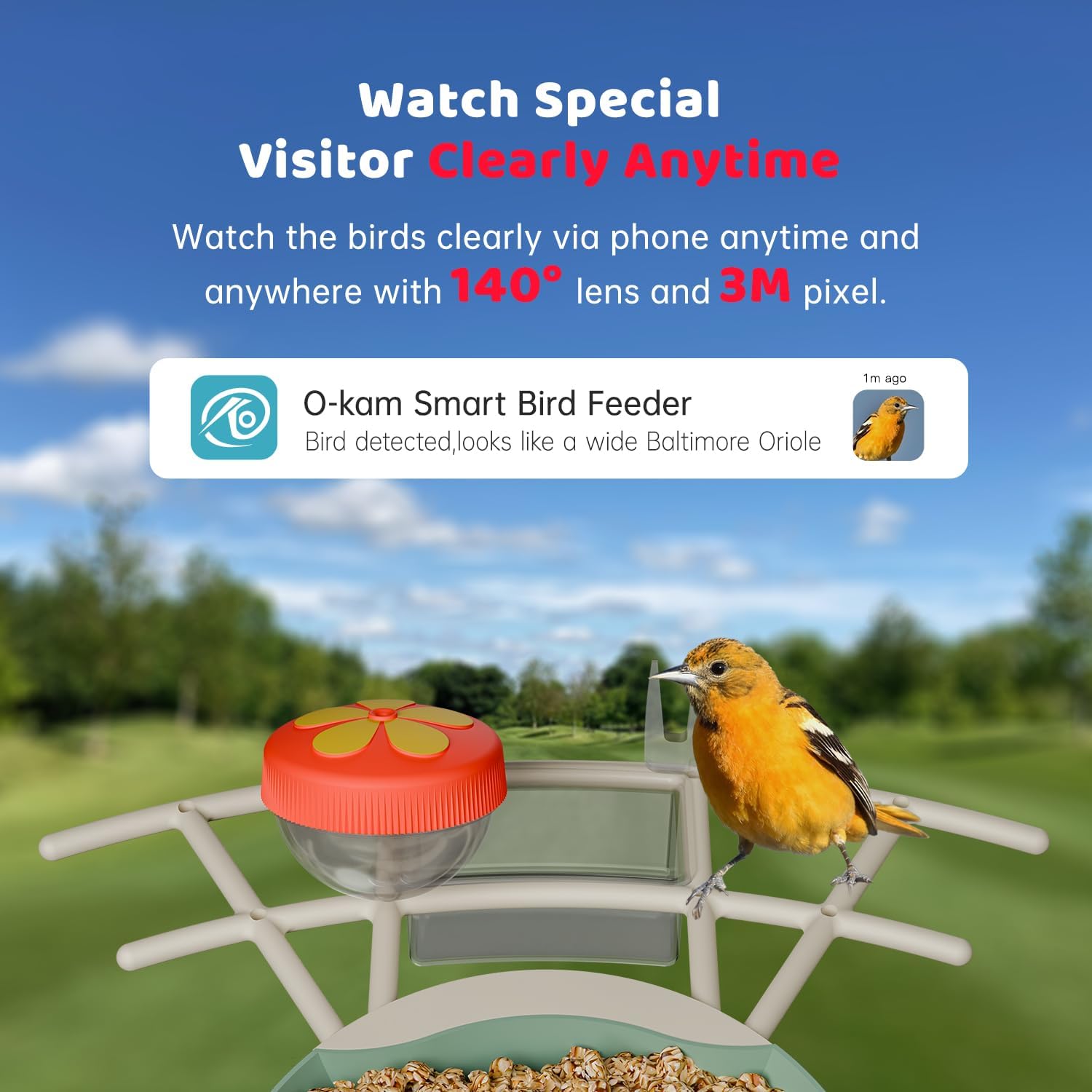 Bird Feeder with Camera Solar Powered, Smart Bird Feeder with AI Identify, 2K HD Live View and Instant Notification, Ideal Gift for Bird Lover(with 32G Card) - Image 6