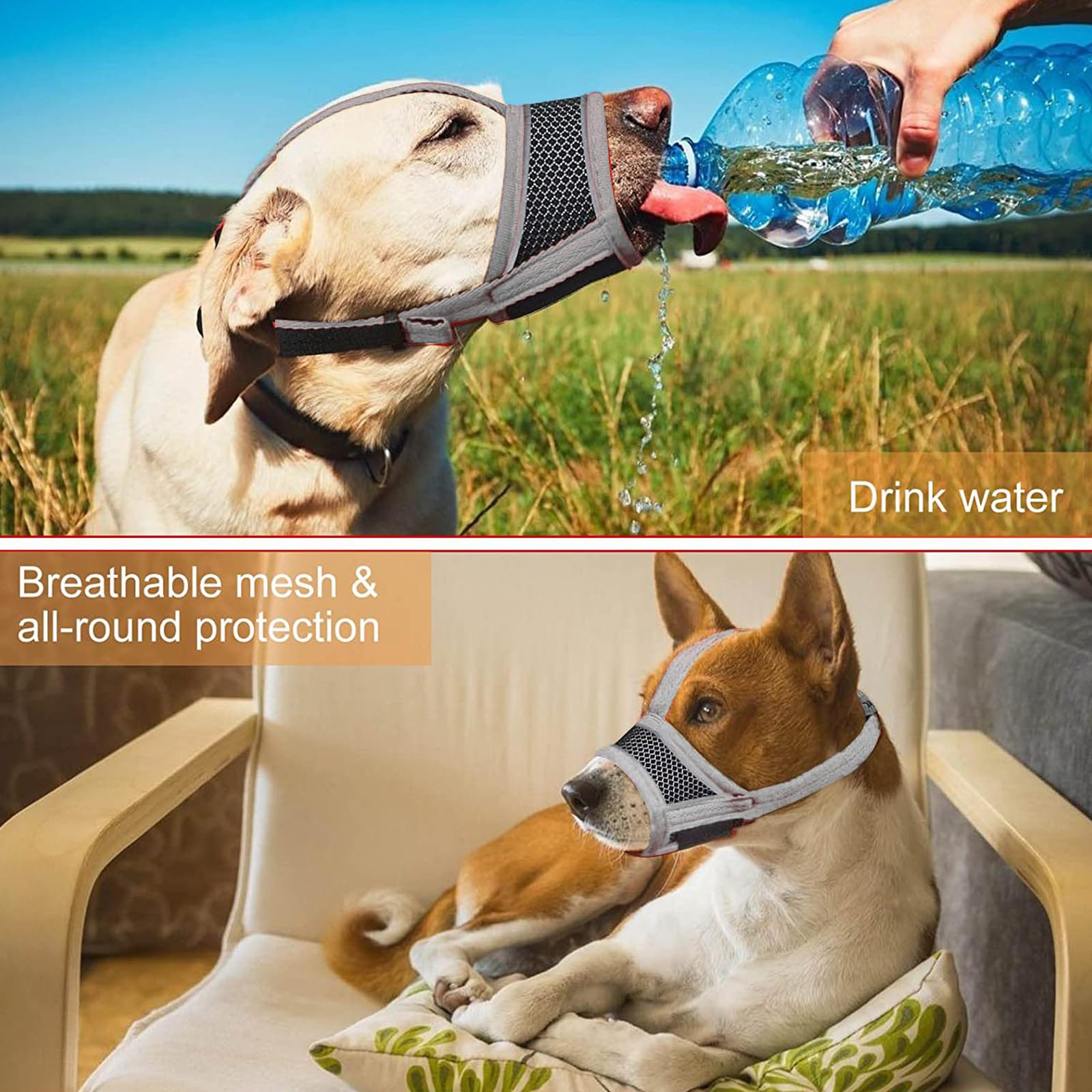 JSTHHTT Muselière pour Chien 2 Pièces, Muselière pour Petits Chiens de Taille Moyenne, Muselière pour Chien en Maille Douce et Respirante, Anti-Mastication, Aboiement, (L)