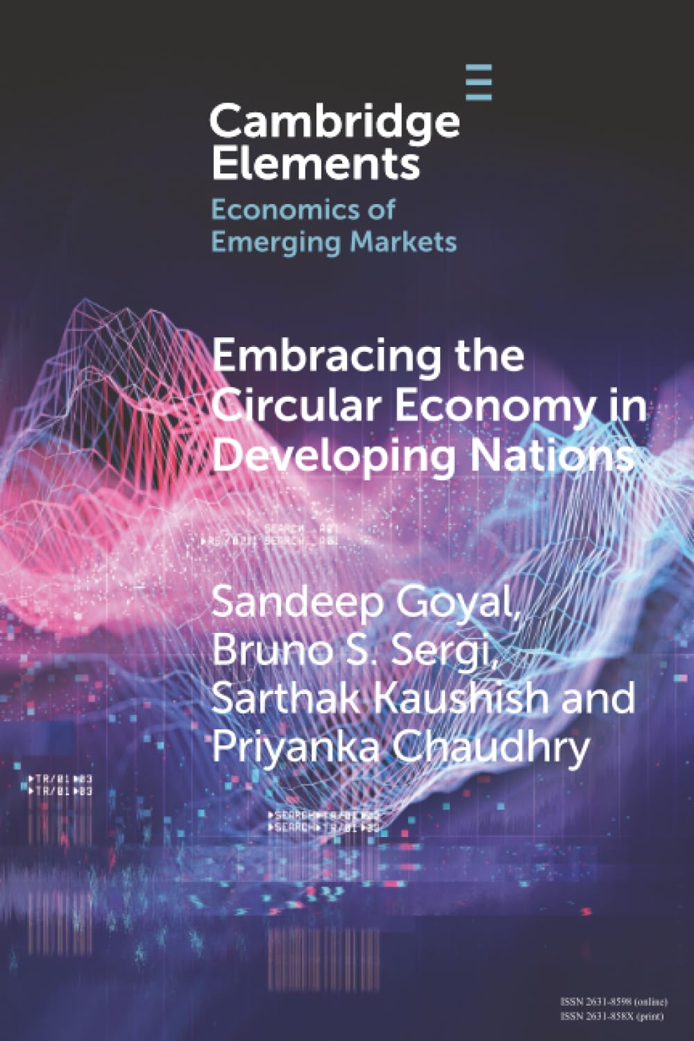 Embracing the Circular Economy in Developing Nations: A Pathway to Sustainable Growth and Resilience (Elements in the Economics of Emerging Markets)