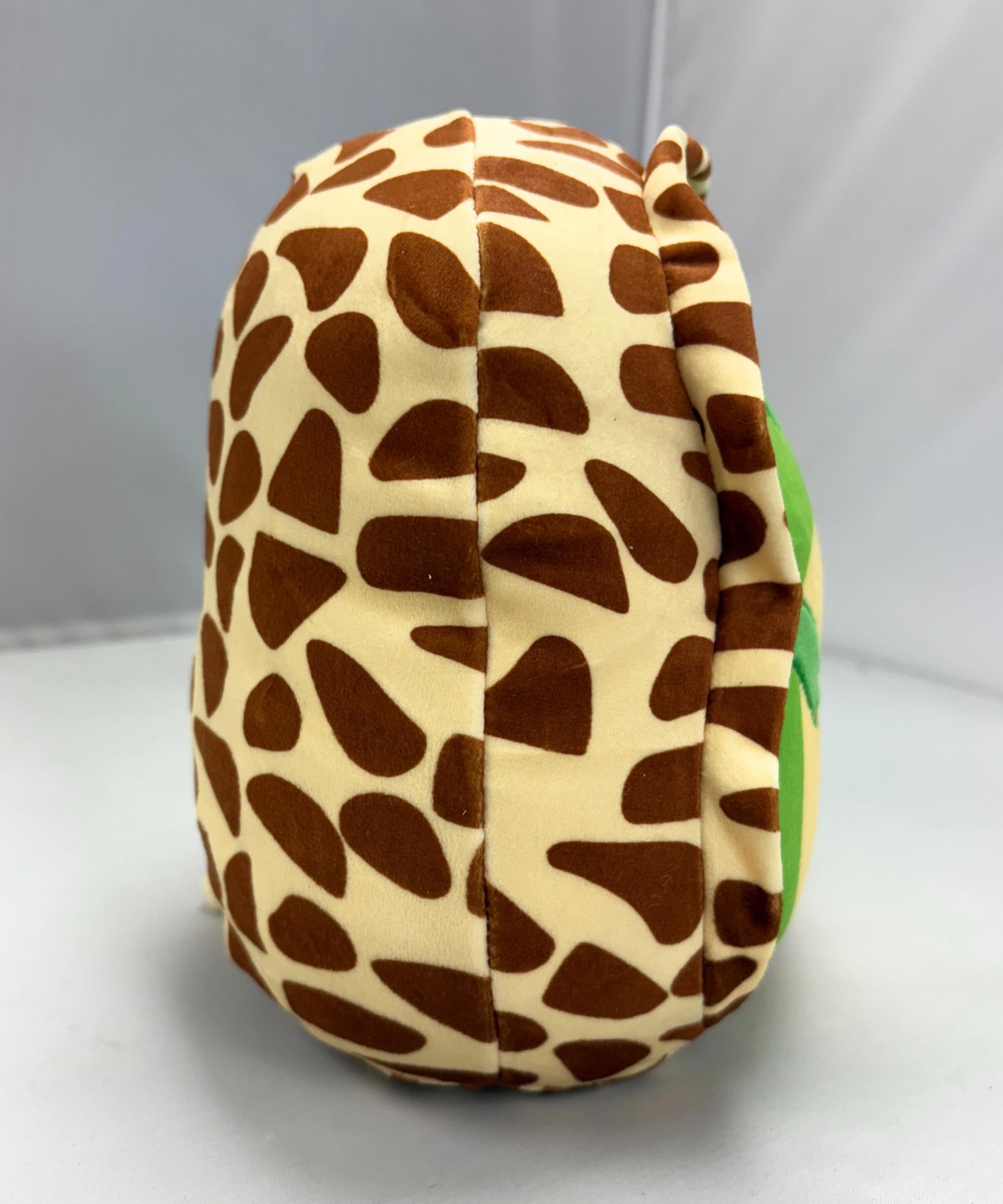 TY Squishy Beanies - Turbo la Tartaruga, Morbido Cuscino di Peluche con Occhioni Gialli, Idea Regalo per Grandi e Piccini, Tutti da Collezionare - 22 cm - T39396