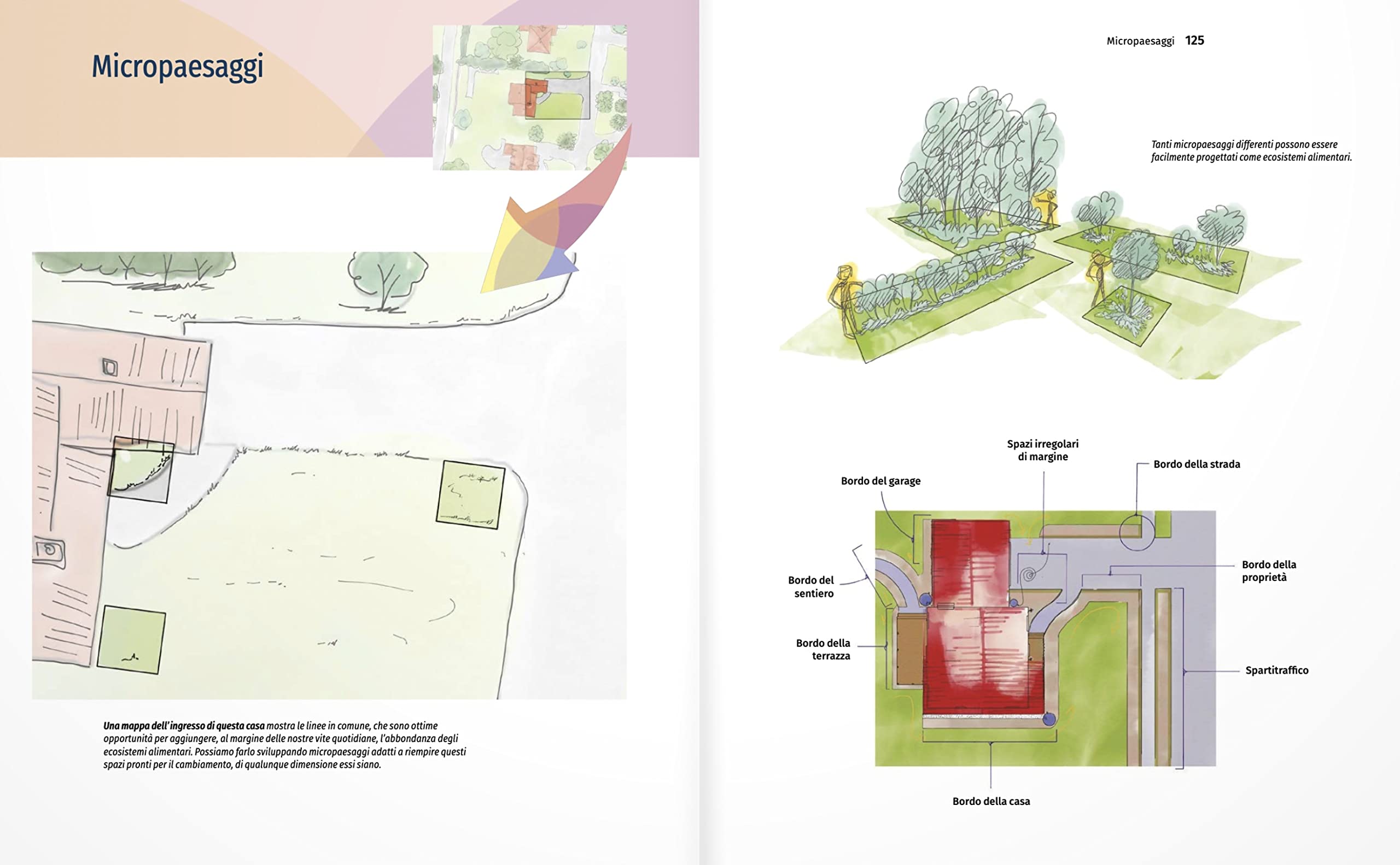 Progettare ecosistemi alimentari in permacultura. Come coltivare biodiversità in città e in campagna. Come coltivare biodiversità in città e in campagna