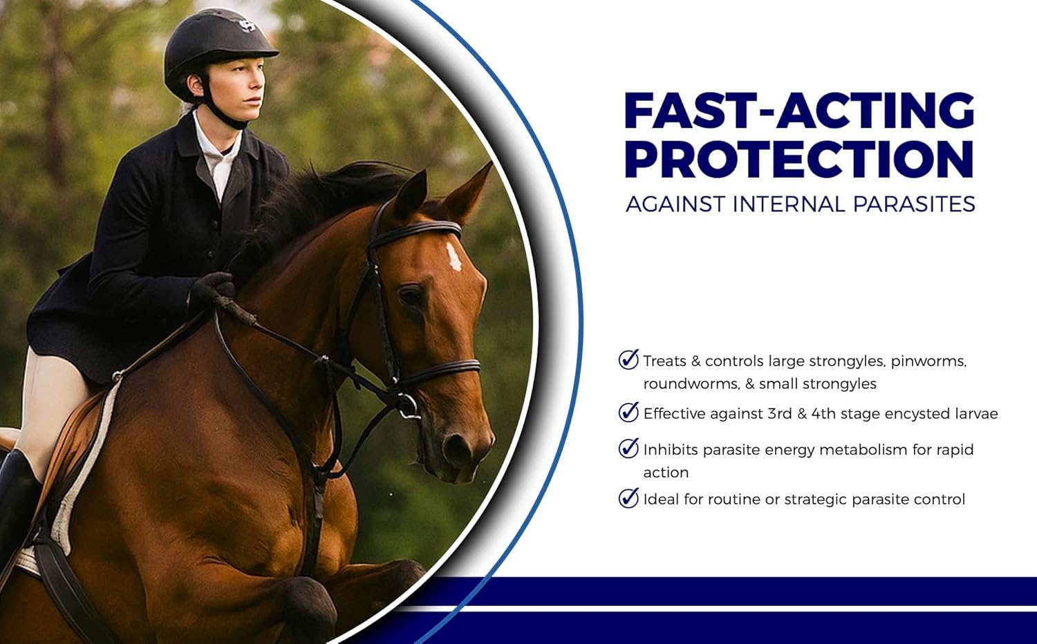 Horse Paste 10% – 4 Pack – 25g Syringes – Oral Deworming Paste for Horses of All Ages – Easy-to-Administer Equine Care