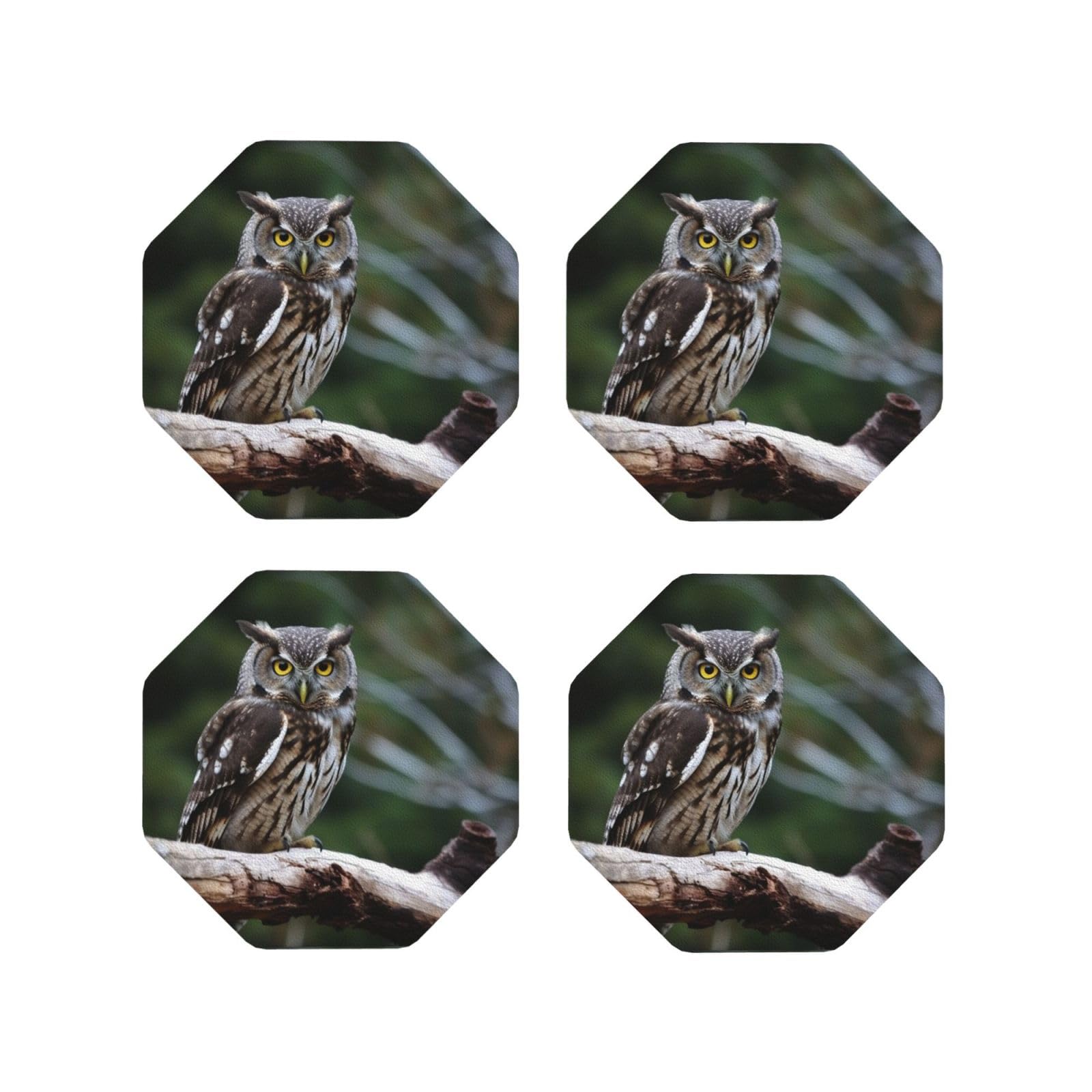 4Pcs PU Leather Coaster for Drinks, Wild Owl Birds Cup Coastersr 4" Cup Mat Pad, Aesthetic Drink Coasters for Coffee Table, Octagon Coaster for Tabletop Protection