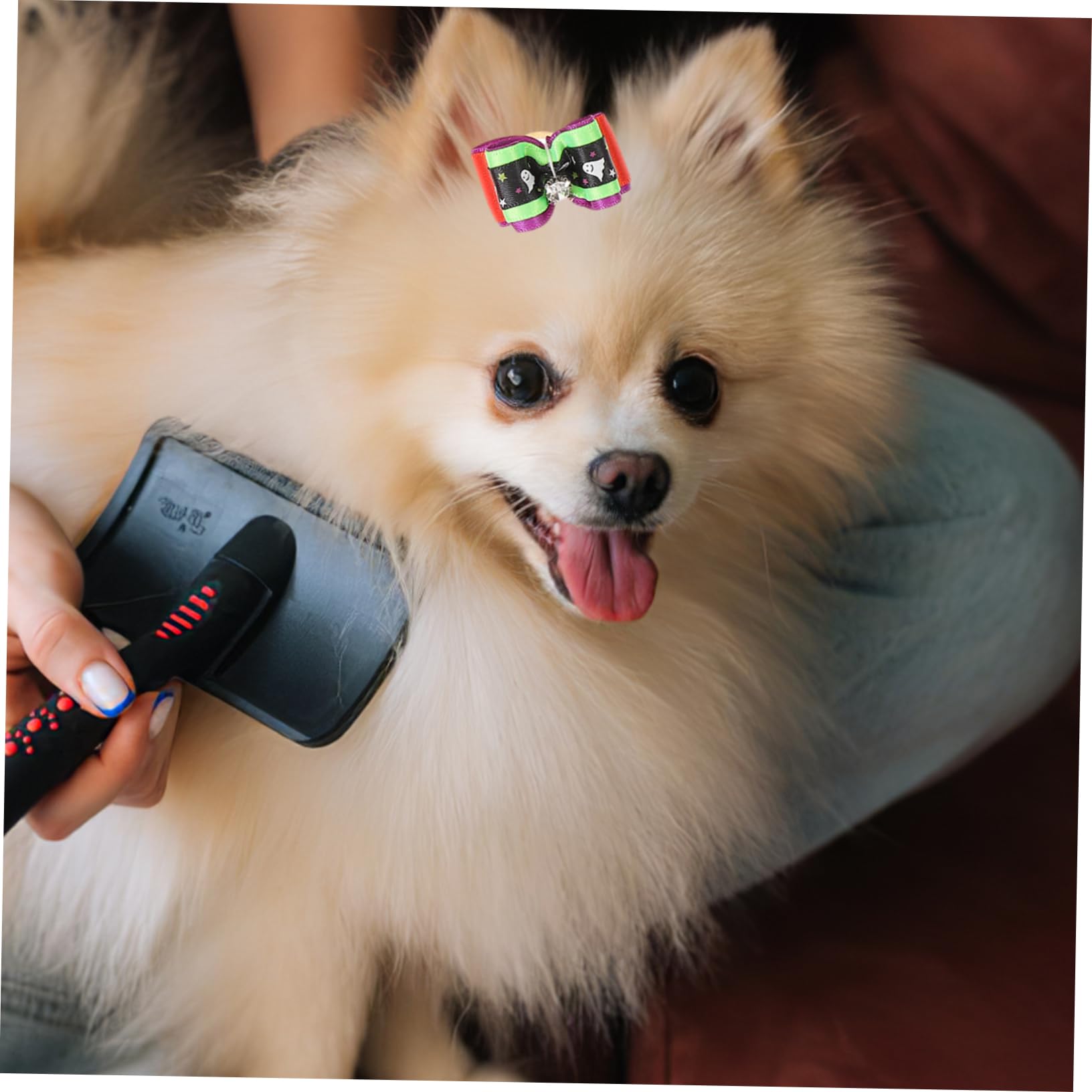 Amazon | BUGUUYO ペットヘアリボンセット 20個 犬用ハロウィン蝶
