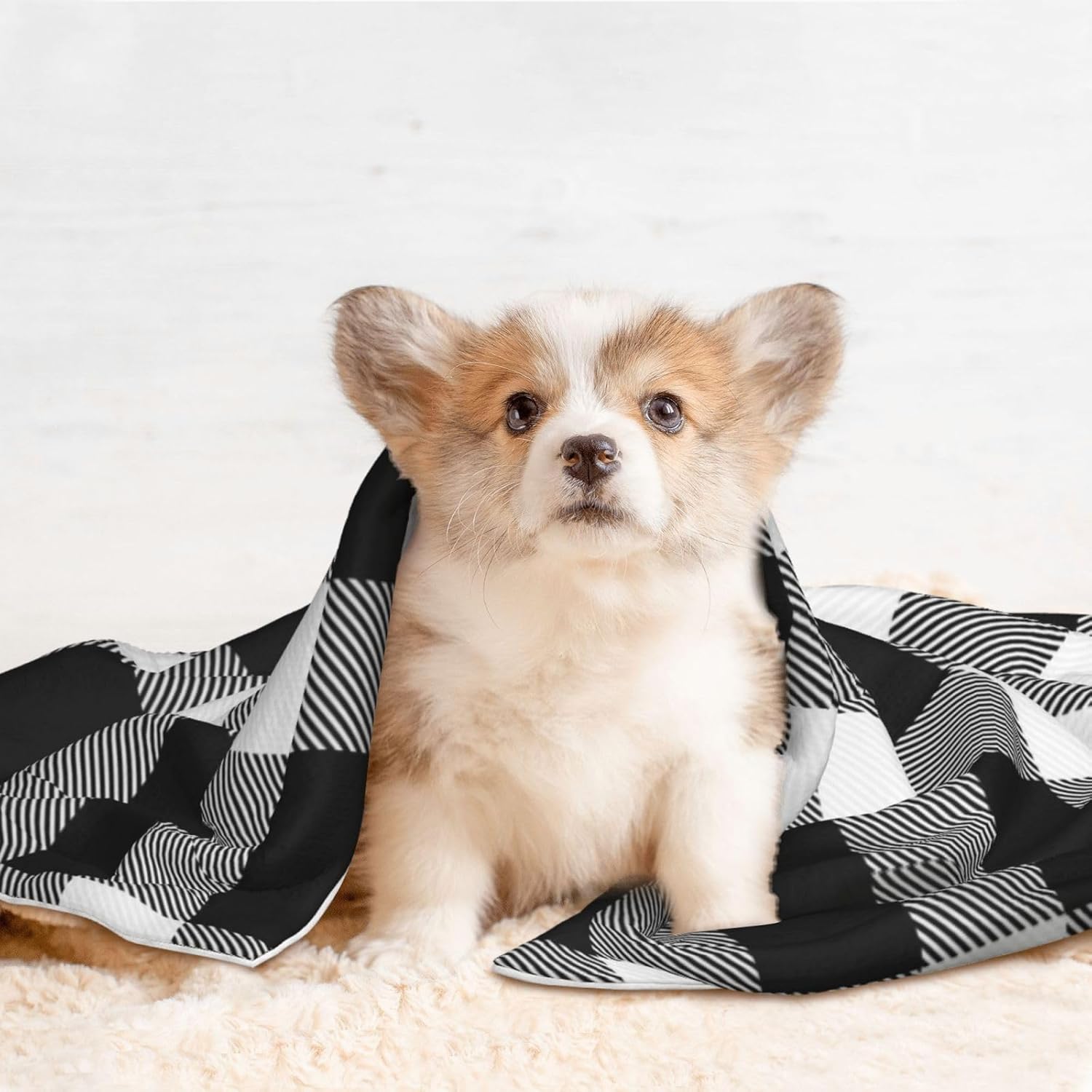 review White and Black Plaid Pattern Waterproof Dog Blanket - Soft Plush Throw Protects Bed, Couch, Or Car from Spills,Scratching, Or Pet Fur - Small