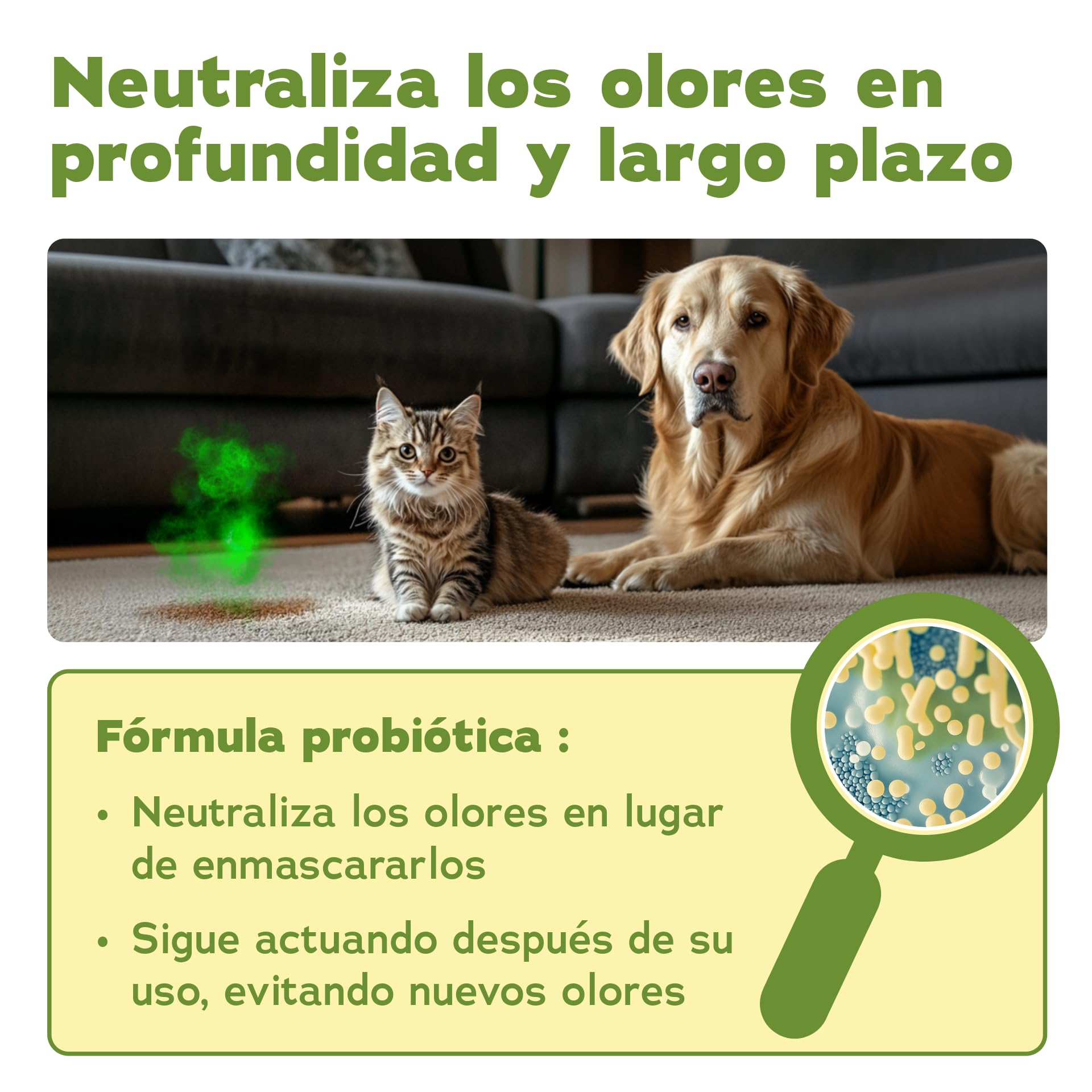 Bio-Chem - Limpiador enzimático concentrado 1L + botella mezcladora - Combate olores y manchas persistentes - Acción probiótica natural para alfombras, tejidos y superficies | Eliminador de olores contra orina, orina de gato y orina de perro para perros y