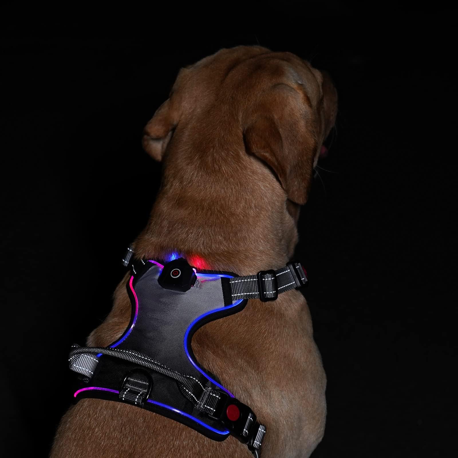 ChalkLit Light Up Dog Harness, Reflective Led Dog Harness Glow In The Dark For Night Walking, USB Rechargeable Lighted Dog Safety Vest For Medium Dogs (Green, Large
