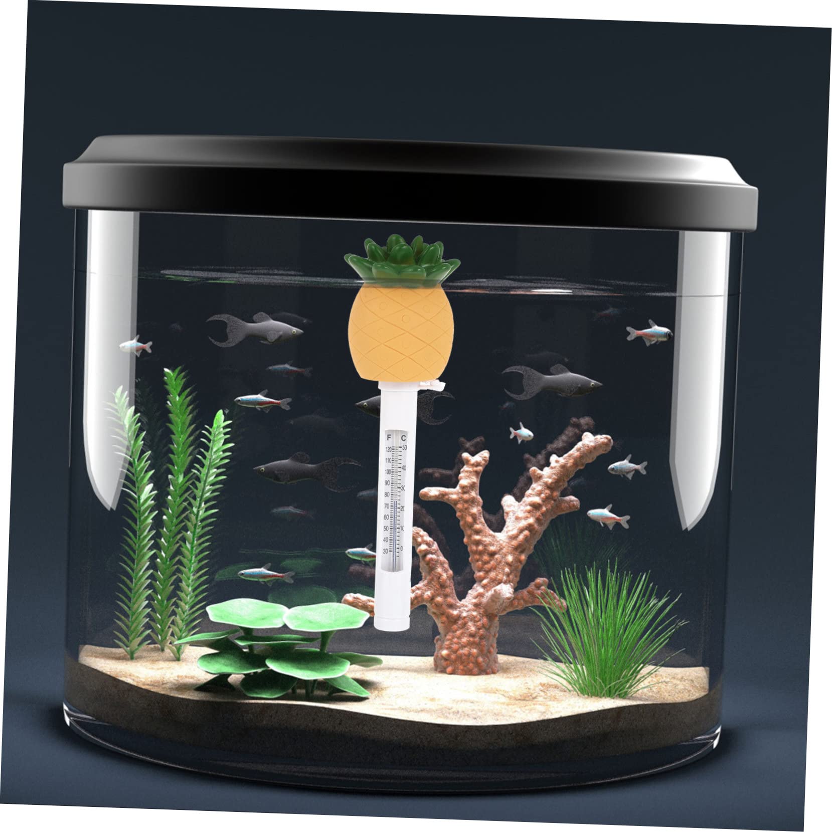 Yardwe 2 Pièces Thermomètre Jauge De Température Flottante Ananas Piscine En Forme D'ananas Piscines Extérieures Piscine Facile à Lire Bain Étang Plastique Oiseau De Flamme Dessin Animé