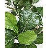 Product Photo 4