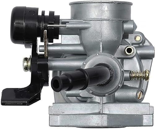 Miniatura 5 de Carburador PZ19, carburador de 0.748 in con filtro de aire de 1.378 in para TaoTao Kazuma Baja 50cc 70cc 90cc 110cc 125cc Dirt Bike ATV, NST SunL