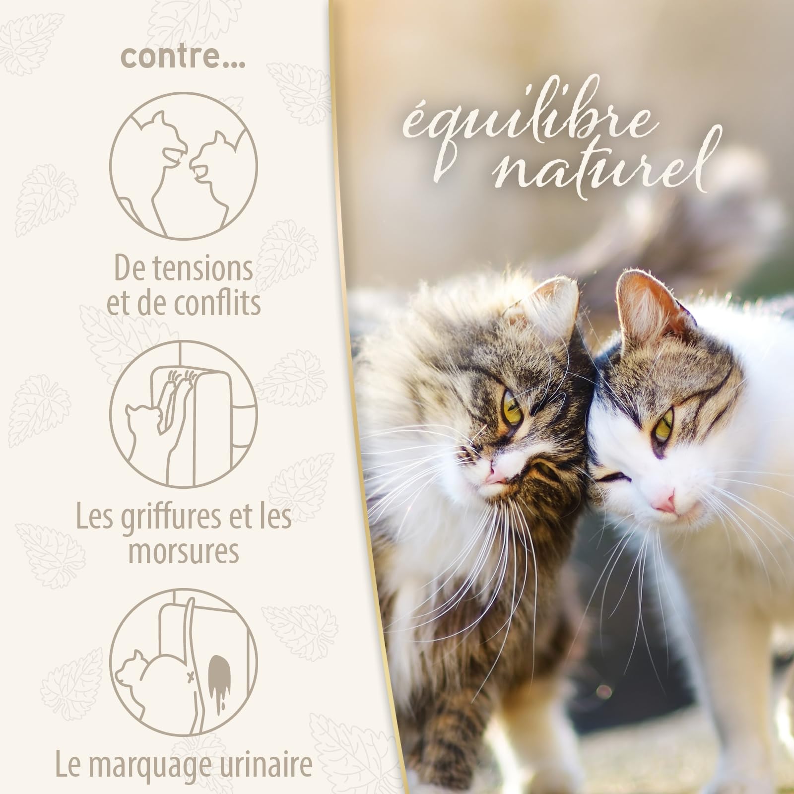Felisept Family Comfort Starter-Set im Mehrkatzenhaushalt (Verdampfer + Flakon 45ml) - Beruhigungsmittel für Katzen - Katzen Beruhigungsmittel natürliche Katzenminze - Entspannungsmittel für Katzen